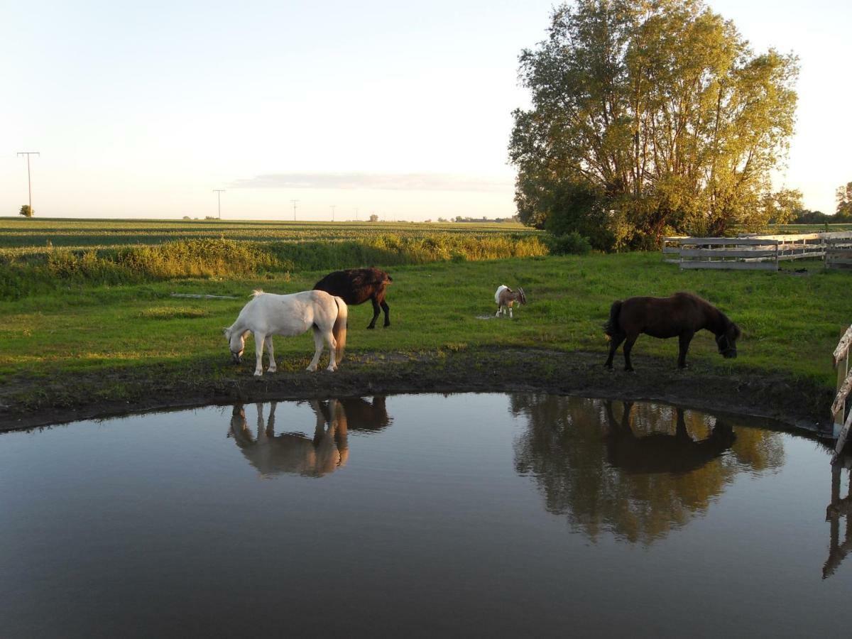 Horse Lake Ranch 노이엔도르프 외부 사진